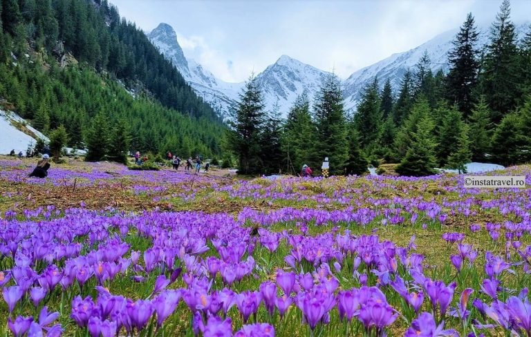 Ce să vizitezi în Munții Făgăraș în sezonul de vară: Recomandări și experiențe autentice Ce să vizitezi în Munții Făgăraș în sezonul de vară