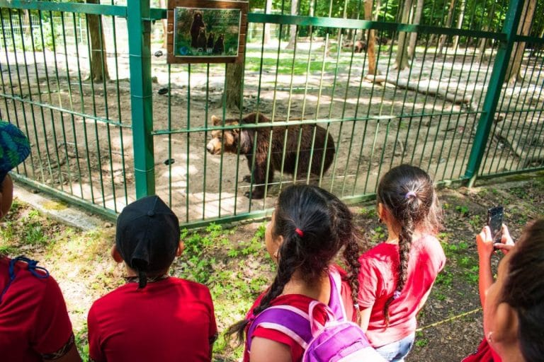 Activități educative în grădinile zoologice naturale