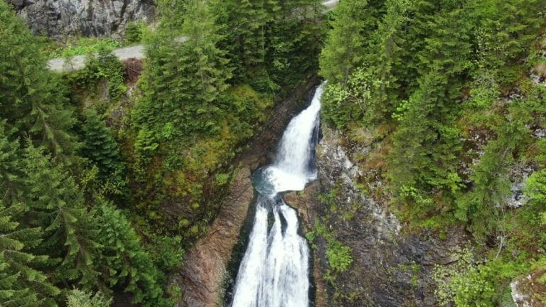 Viața sălbatică din Carpații Meridionali – safari montan